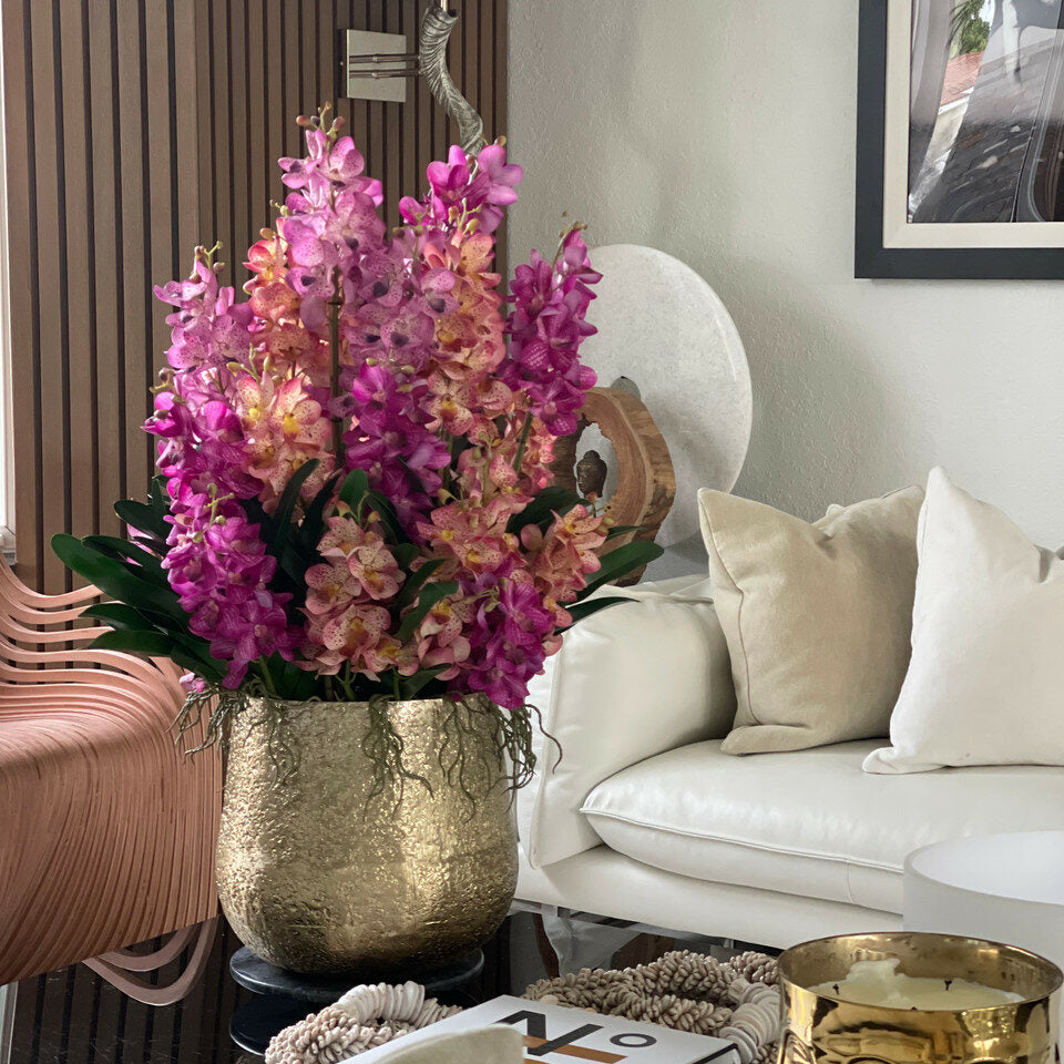 Verschiedene Mokara-Orchideen