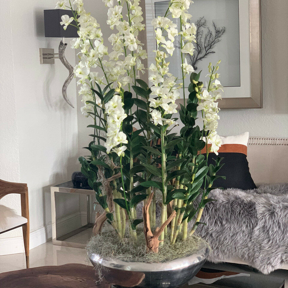 Ensemble Premium de Décoration Intérieure – Jardinière Allée
