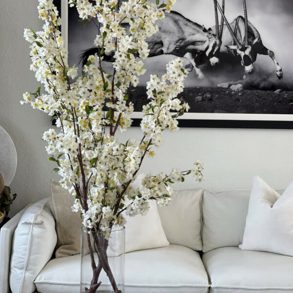 Fleurs de cerisier