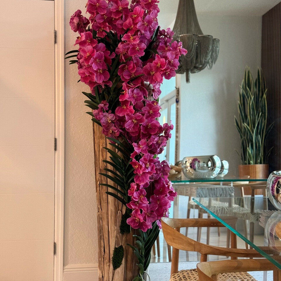 Orchidées Vanda roses