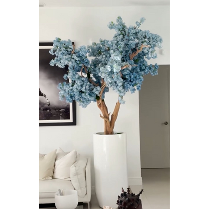 Fleurs de cerisier bleu.