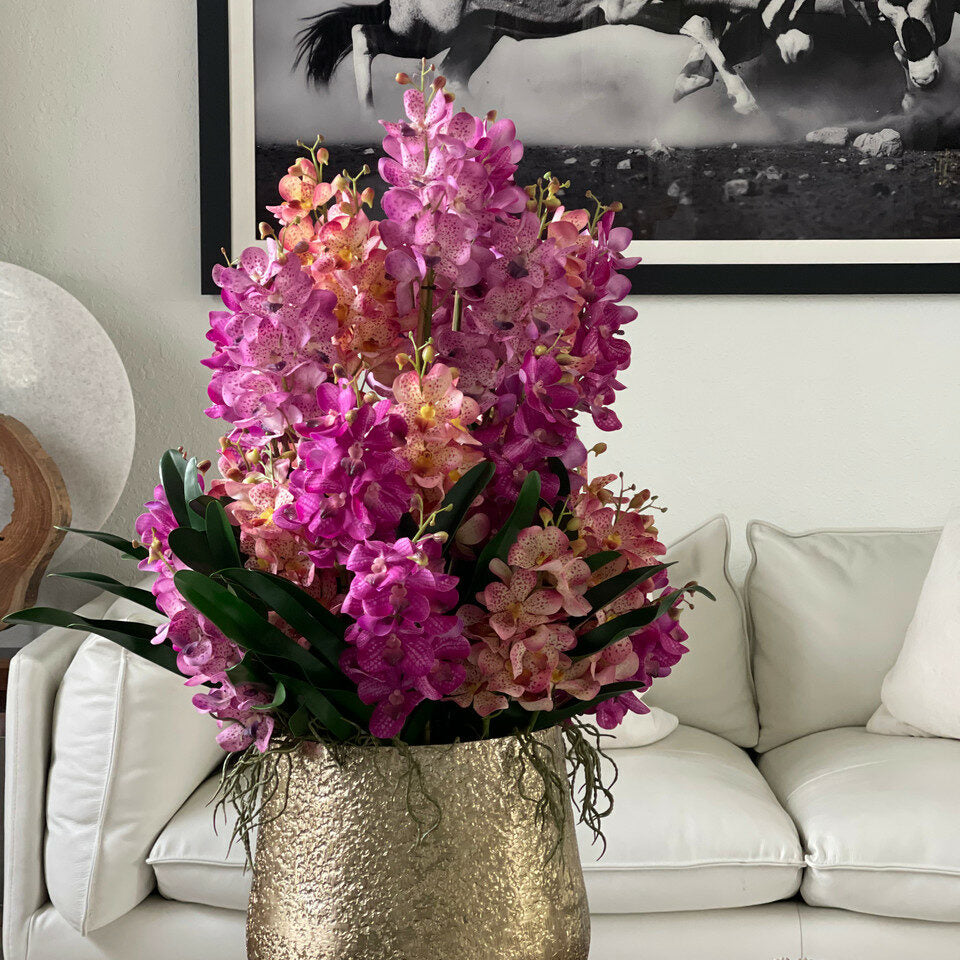 Diverses orchidées Mokara