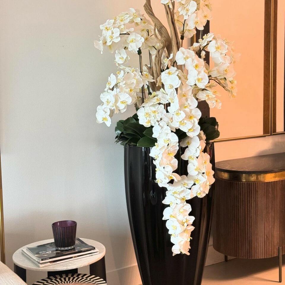 Orchidées Jaunes Retombantes