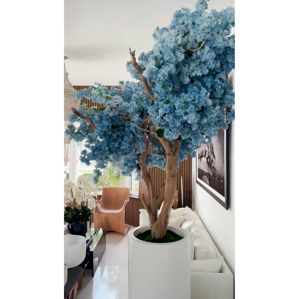 Fleurs de cerisier bleu.