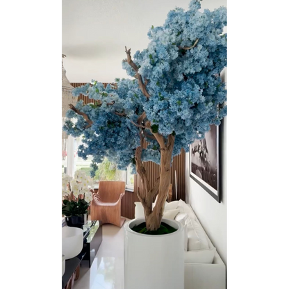 Fleurs de cerisier bleu.