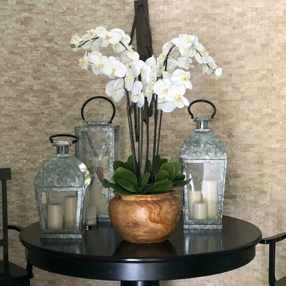 Weiße Orchideen