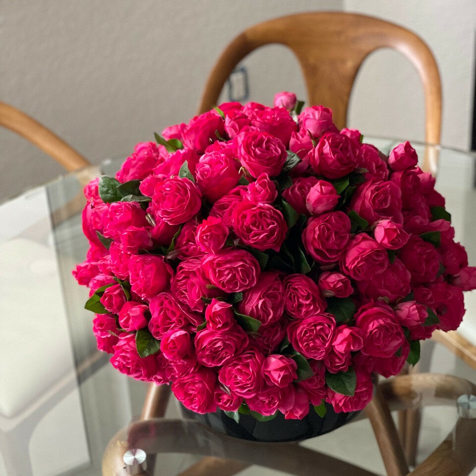 Dunkelrosa englische Rosen