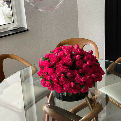 Dunkelrosa englische Rosen