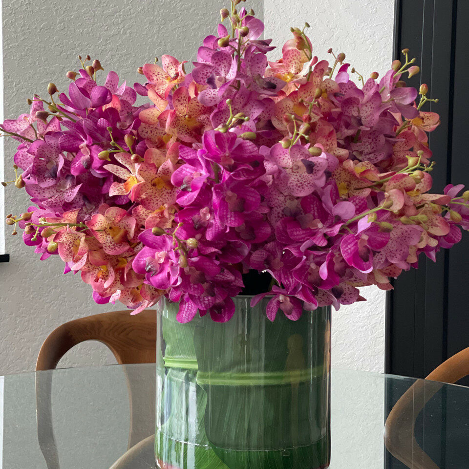 Orchidées Mokara Mélangées