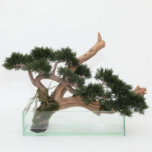 Zen Wohndeko-Set – Künstlicher Kriechwacholder-Bonsai