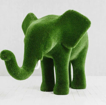 Topiaire Éléphant Taille Moyenne
