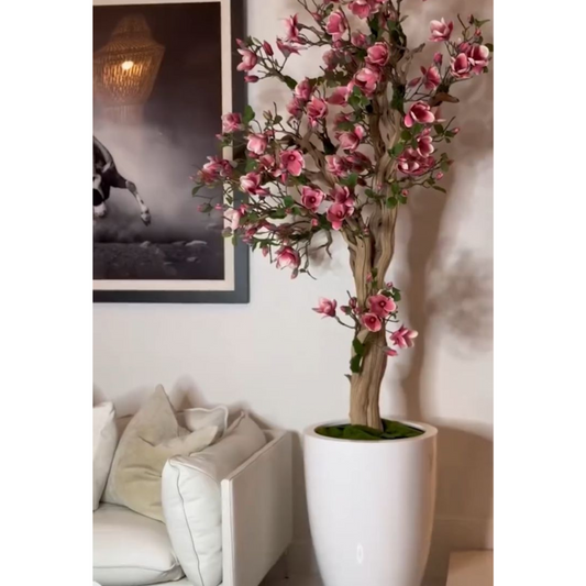 St. Tropez Bright White – Neuerscheinung