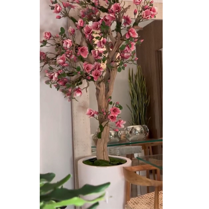 St. Tropez Blanc Éclatant – Nouvelle Arrivée