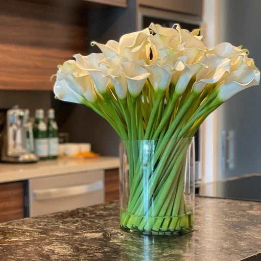 Calla-Lilien