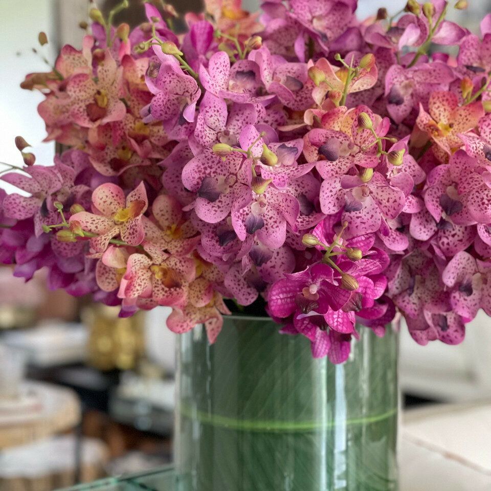 Orchidées Mokara Mélangées