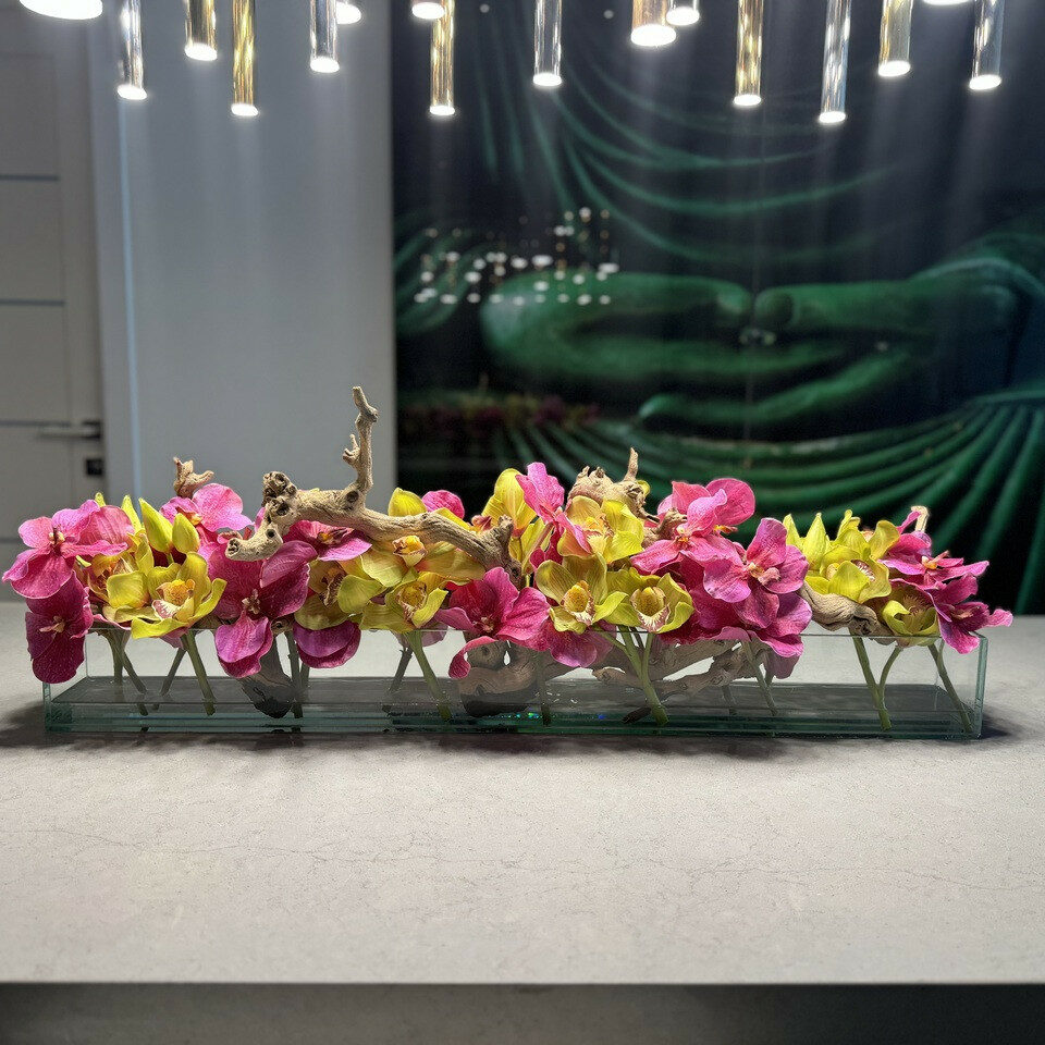 Rosa Vanda-Orchideen und grüne Cymbidien