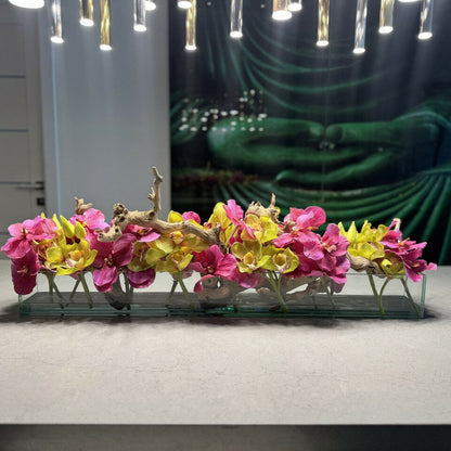 Rosa Vanda-Orchideen und grüne Cymbidien