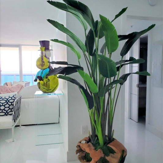 Teck avec magnifique Strelitzia (Oiseau de paradis)