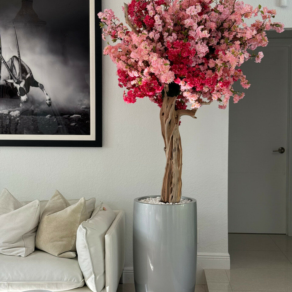 Fleurs de cerisier rose tricolore