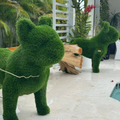 Bouledogue Français