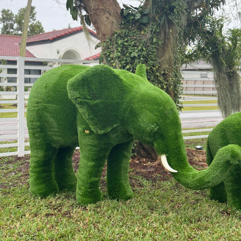 Topiaire Éléphant Taille Moyenne