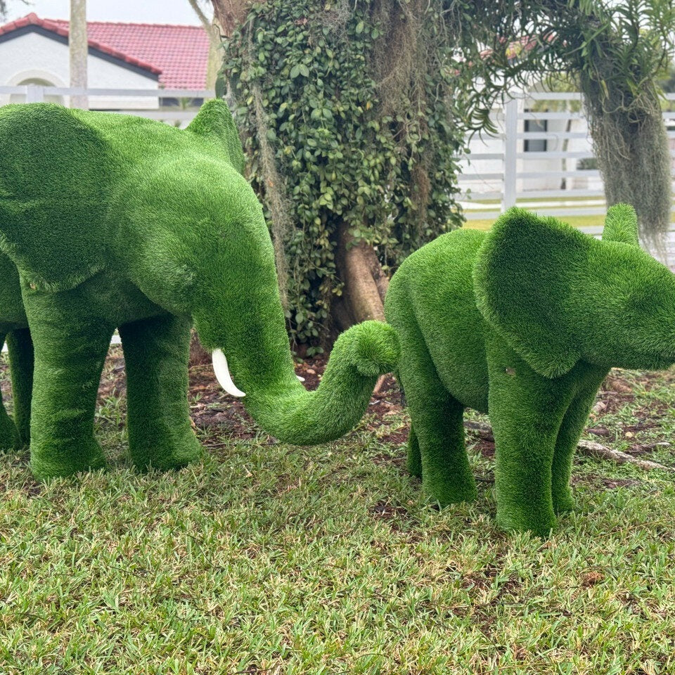 Topiaire Éléphant Taille Moyenne