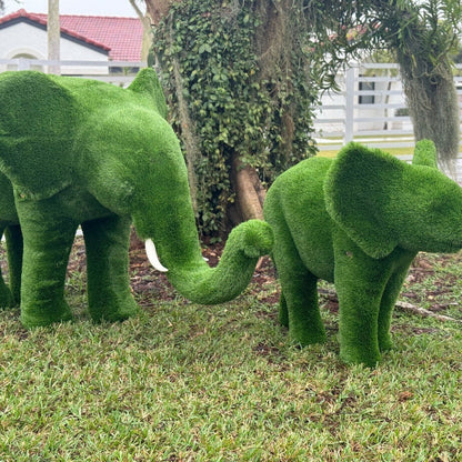 Topiaire Éléphant Taille Moyenne
