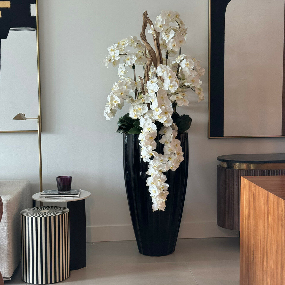 Orchidées Jaunes Retombantes