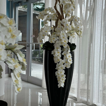 Orchidées Jaunes Retombantes