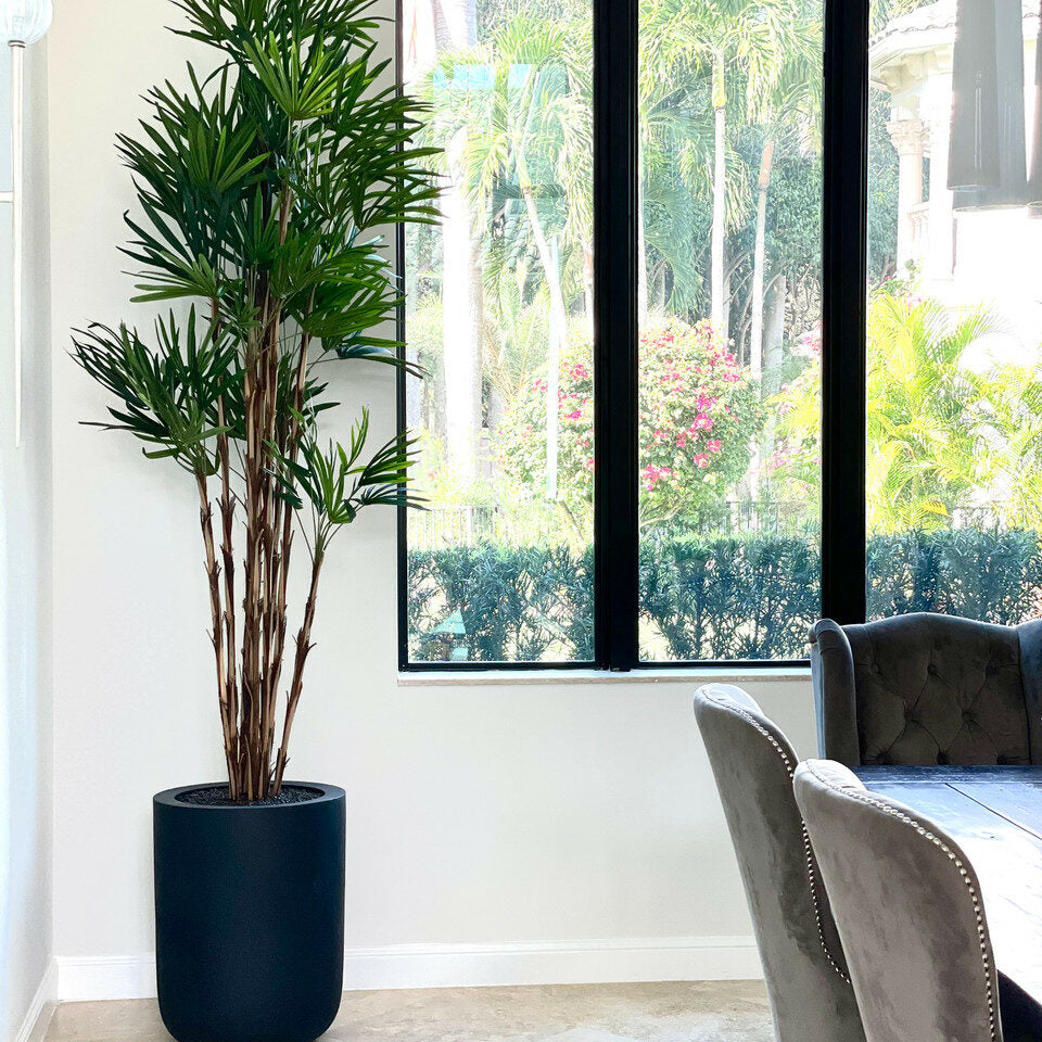 Palme