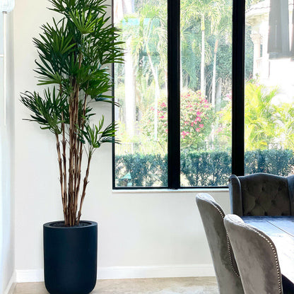 Palme