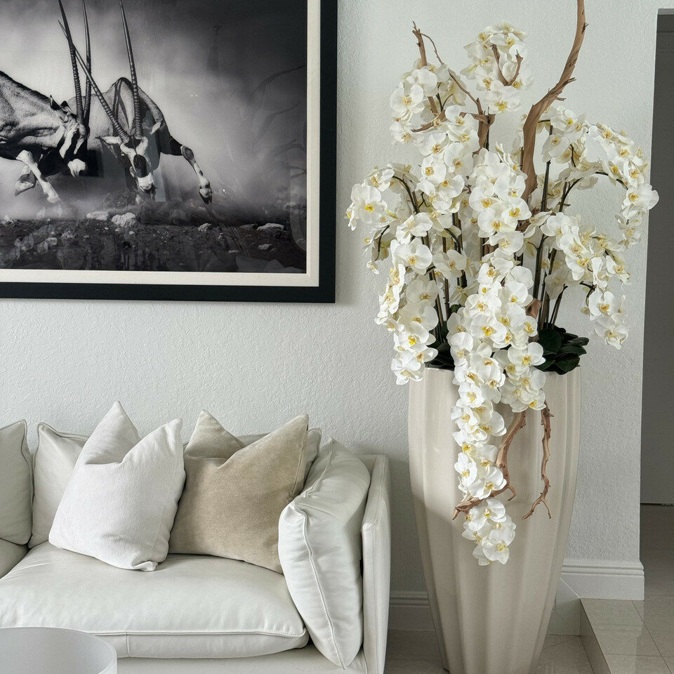 Orchidées blanches en arrangement en cascade.