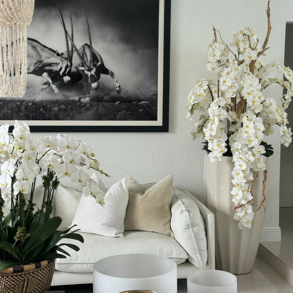 Orchidées blanches en arrangement en cascade.