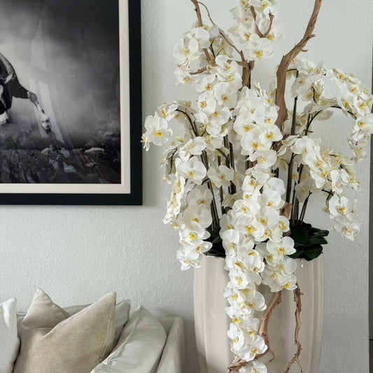 Weiße Orchideen in kaskadenartiger Anordnung.