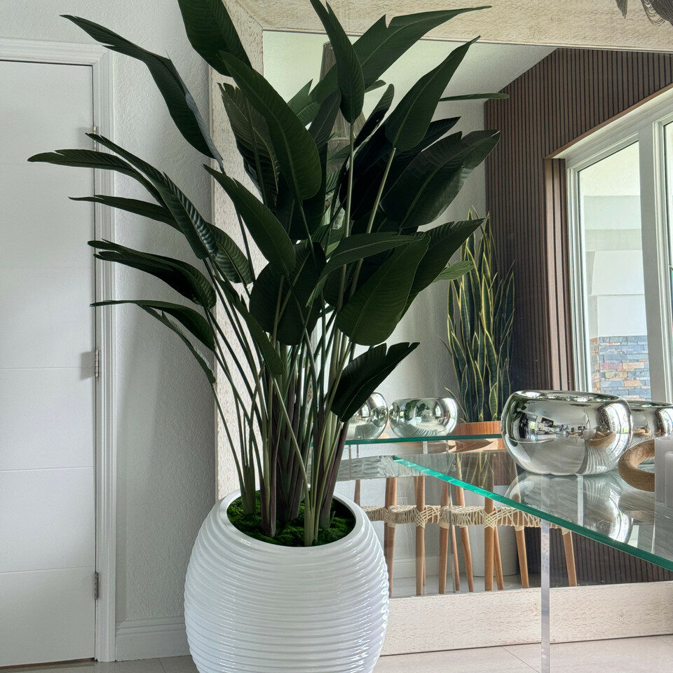 Paradiesvogelblume