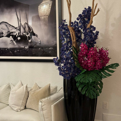 Orchidées Vanda
