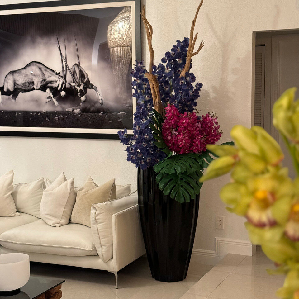 Orchidées Vanda