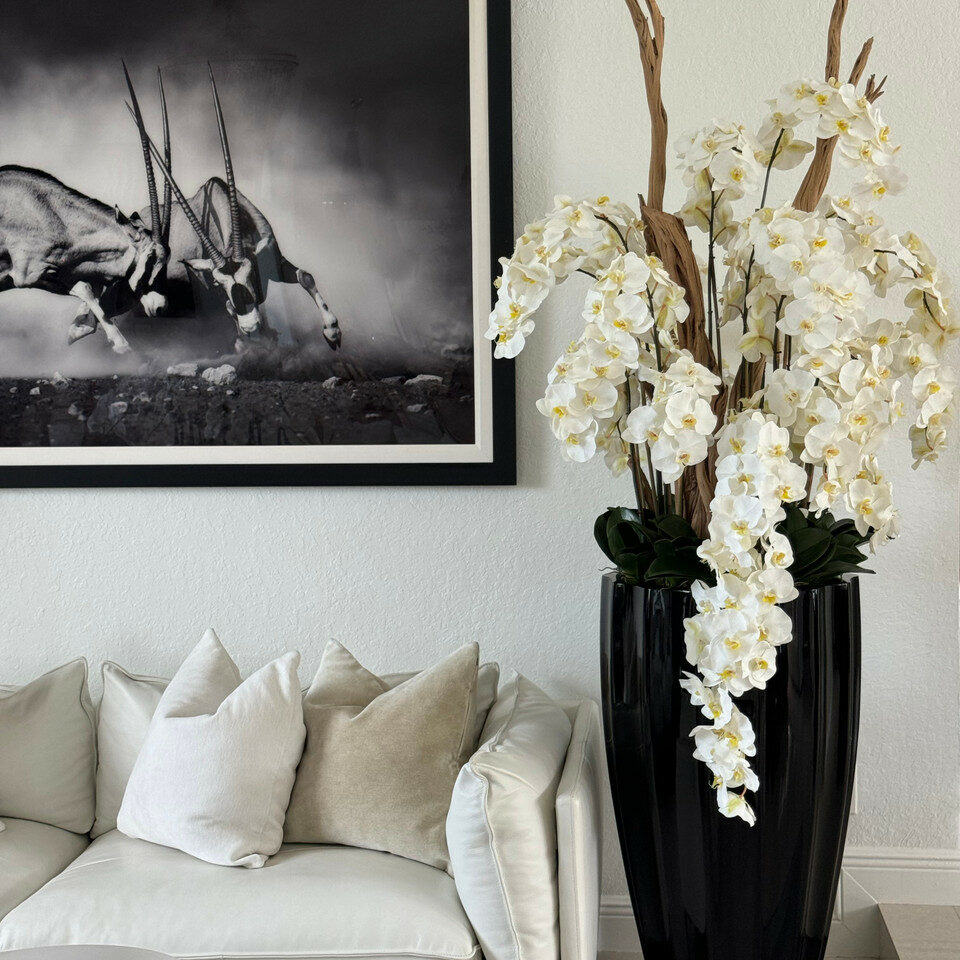 Orchidées Jaunes Retombantes