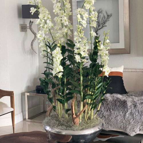 Premium Wohndeko-Set – Allee-Blumenkasten