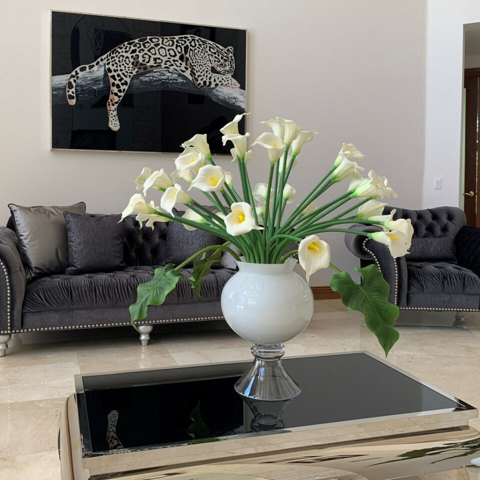 Weiße Calla-Lilien