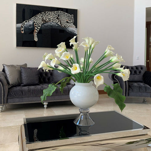 Weiße Calla-Lilien