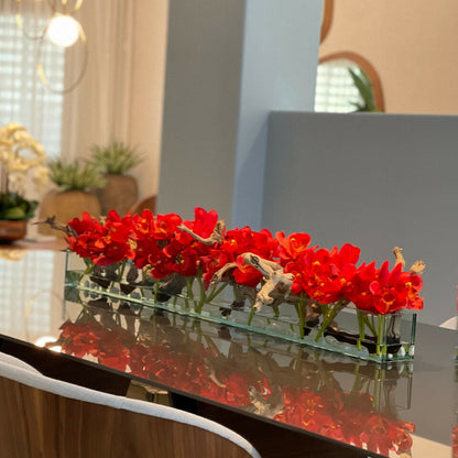 Vase de maison moderne en verre avec Cymbidiums rouges