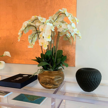 Weiße Orchideen