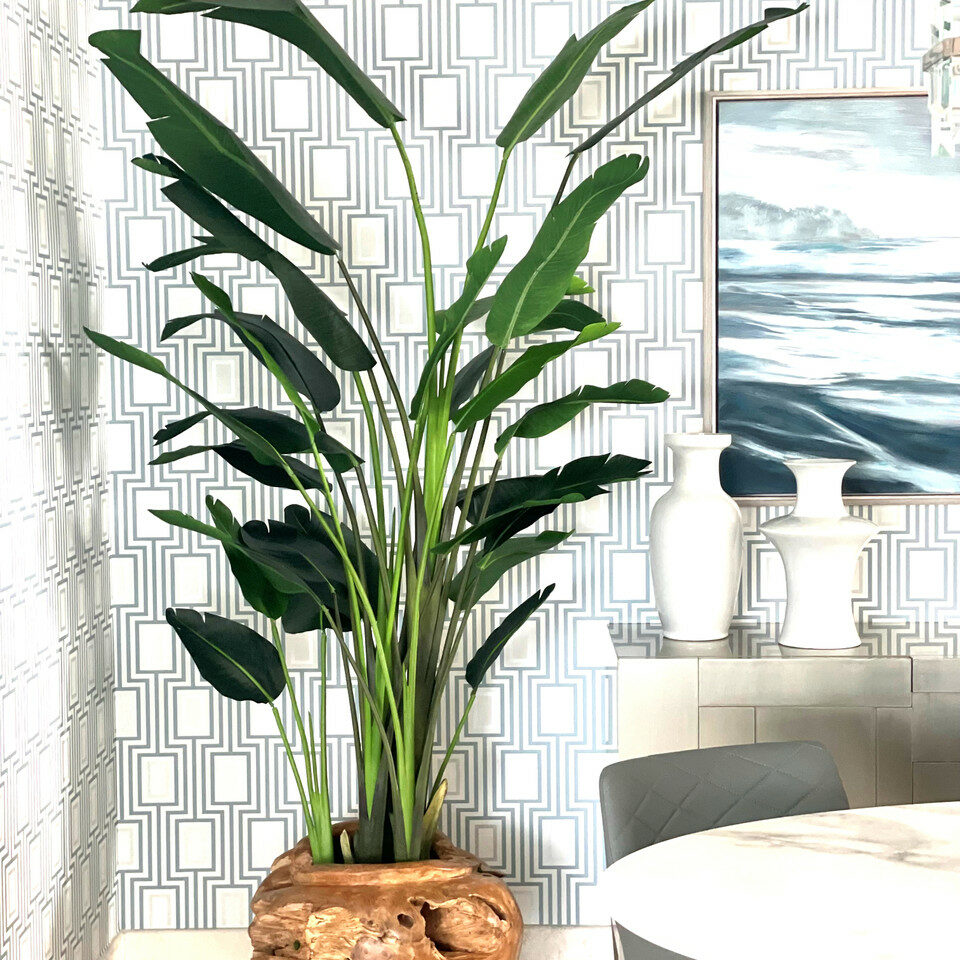 Teck avec magnifique Strelitzia (Oiseau de paradis)