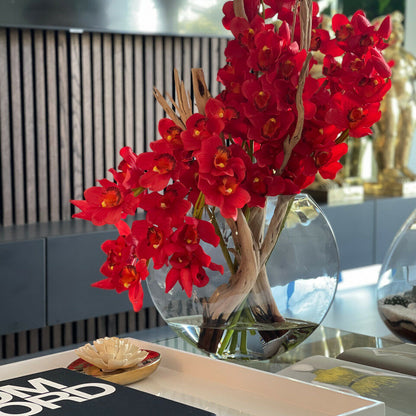 Rote Cymbidium-Orchideen