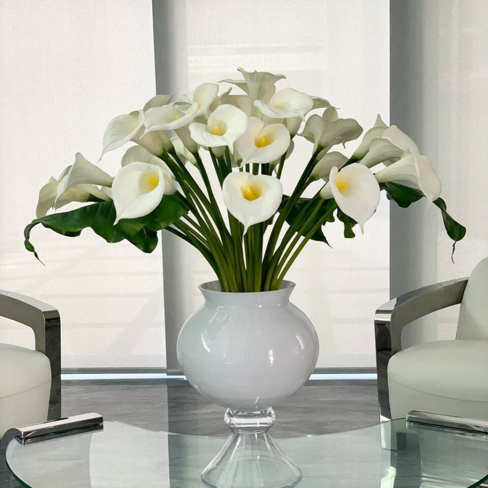 Weiße Calla-Lilien