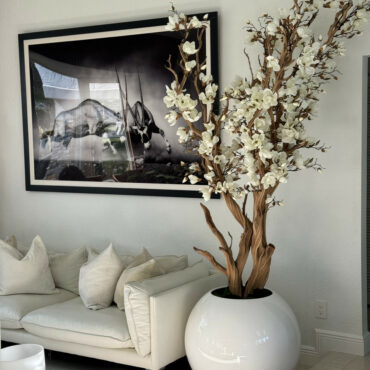 Magnolia blanc, 76 cm