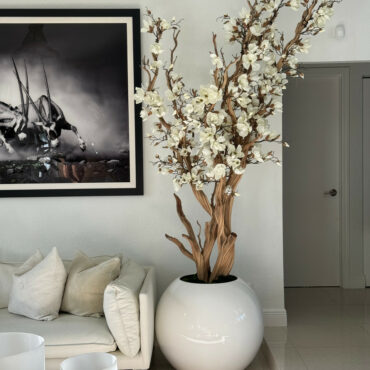 Magnolia blanc, 76 cm