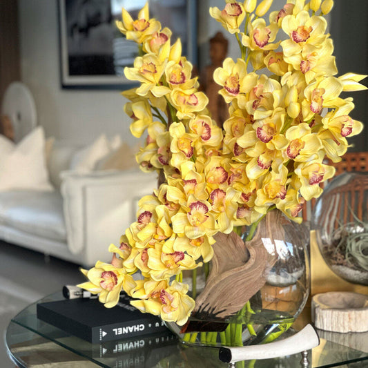 Gelbe Cymbidium-Orchideen