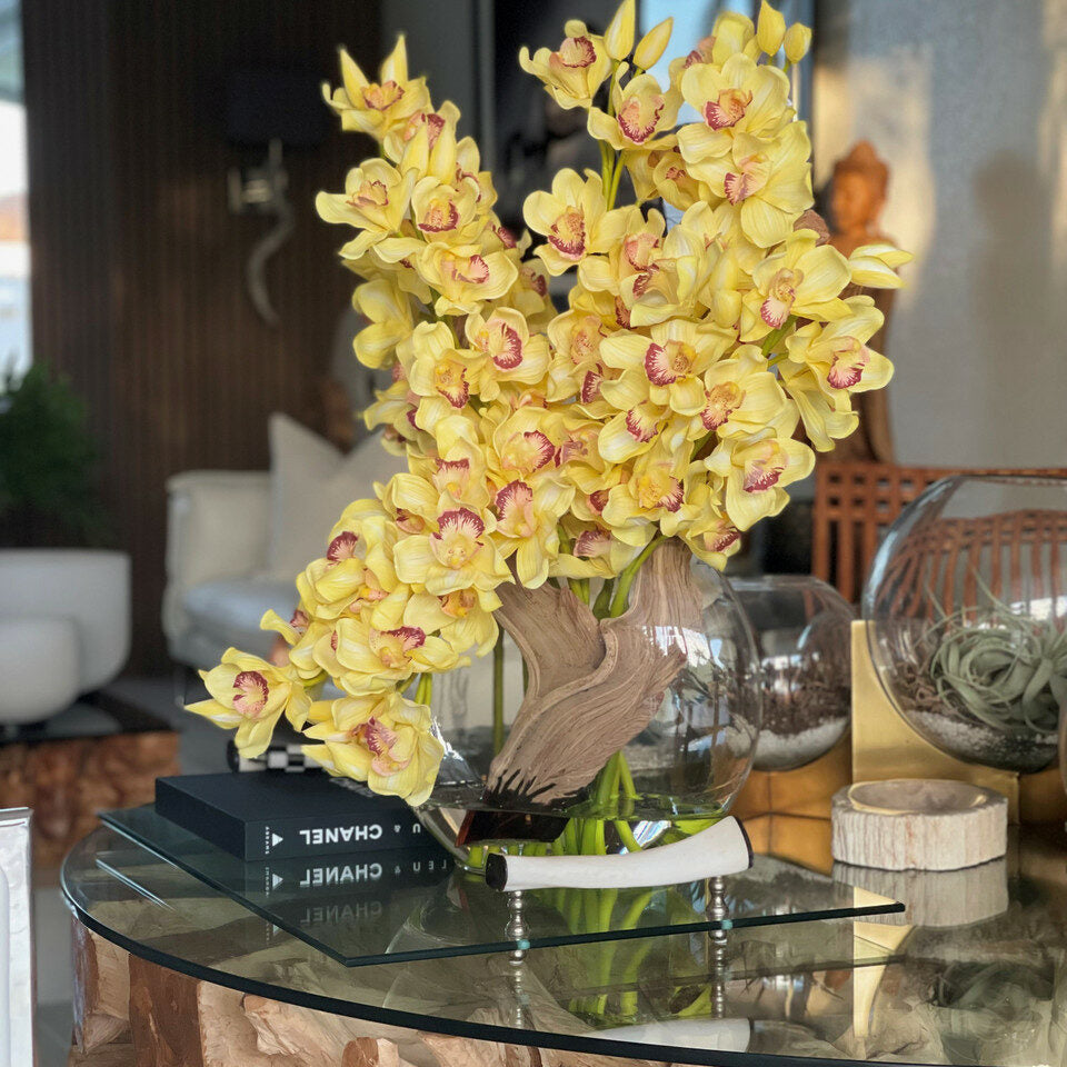 Orchidées Cymbidium jaunes